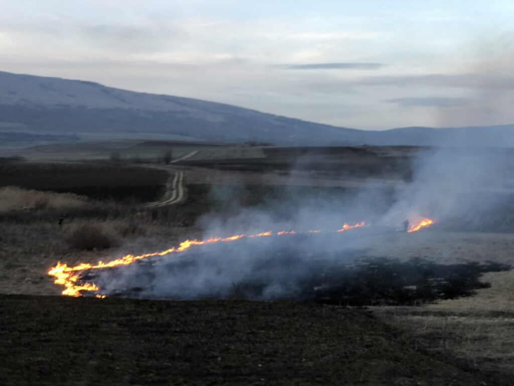 Пожар на отовреном, фото: М.Миладиновић, портал ,,Нишке новине''