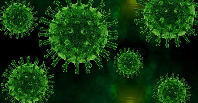 Virus, pixabay.com