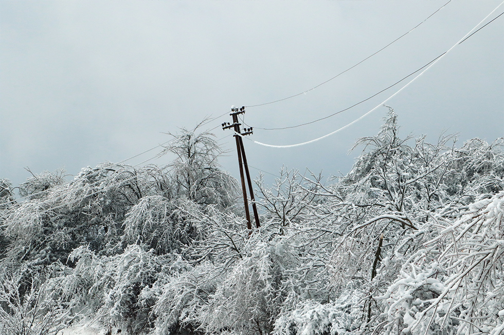 Svrljig pogodilo nevreme, foto: Niške novine, teren