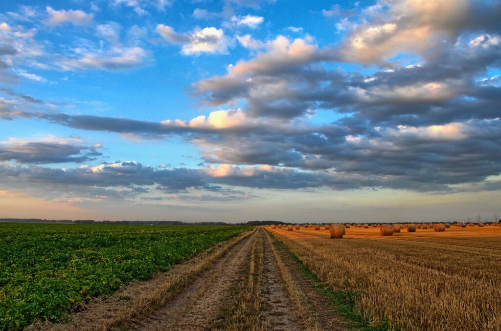 Poljoprivreda, foto: pixabay.com / ilustracija